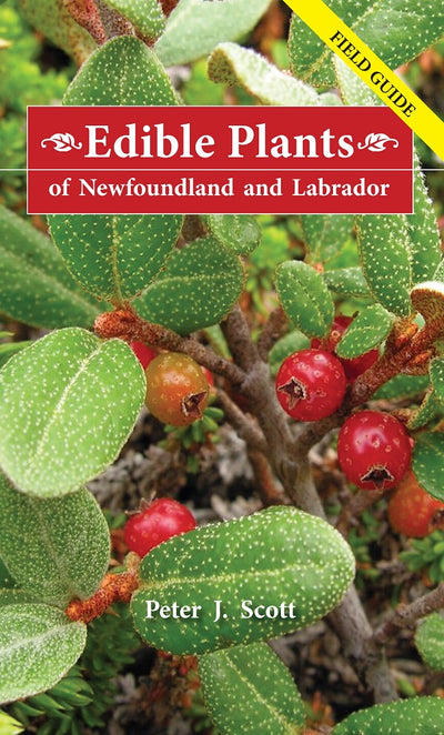 Edible Plants of Newfoundland & Labrador Book - Peter J. Scott