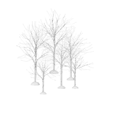 Winter Birch Trees - Village
